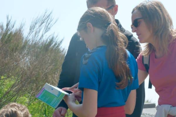 Chasseur de trésors(4)